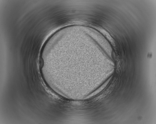 X0000094820904200712141642