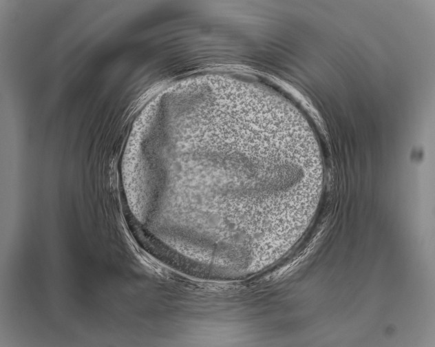 X0000094820905200712141642