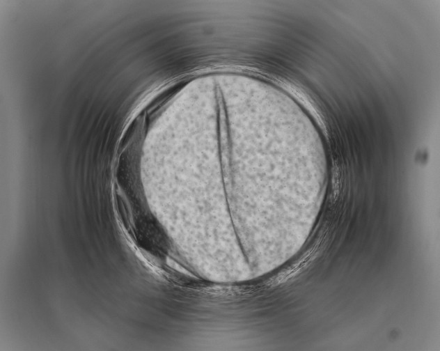 X0000094820906200712141642