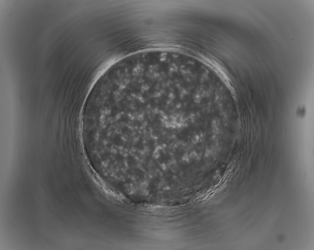 X0000094820907200712141642