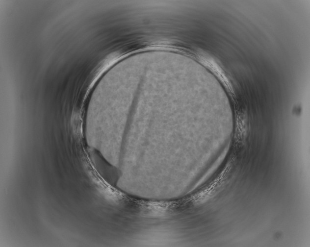 X0000094820908200712141642