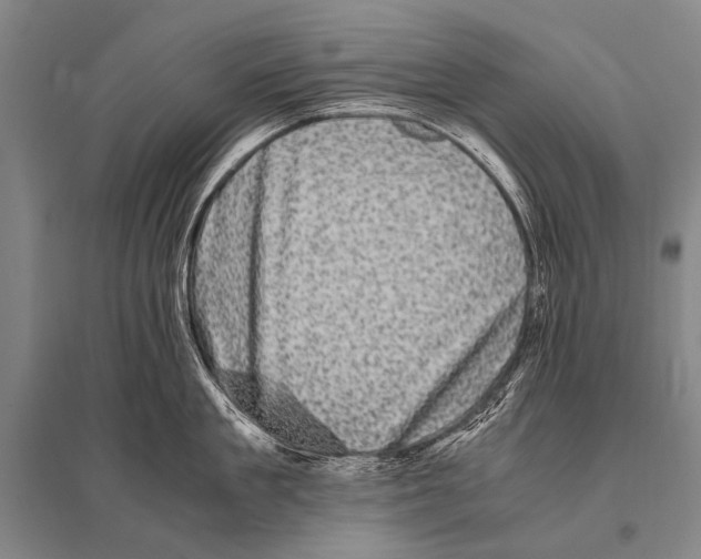 X0000094820909200712141642