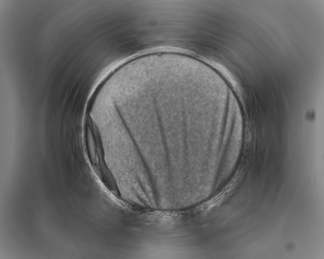 X0000094820910200712141642