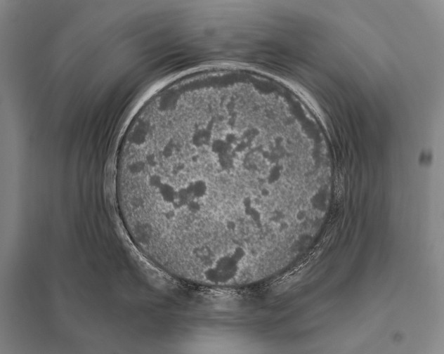 X0000094820911200712141642