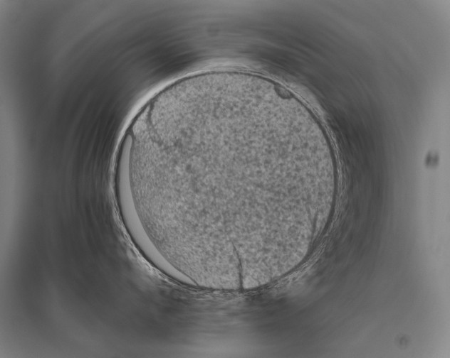 X0000094820912200712141642