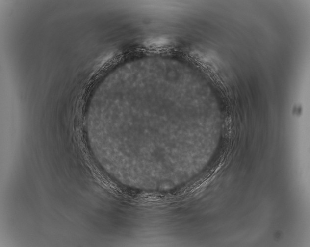 X0000094820913200712141641