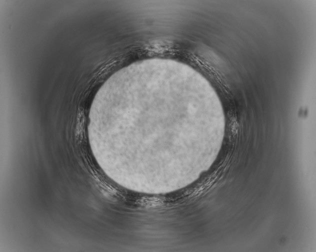 X0000094820914200712141641