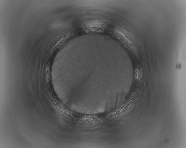 X0000094820915200712141641