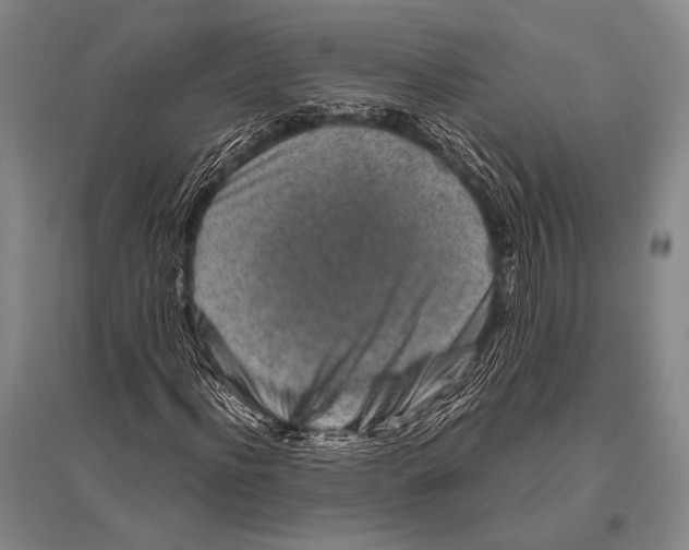 X0000094820916200712141641