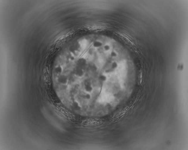 X0000094820917200712141641