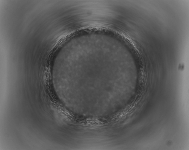 X0000094820918200712141641