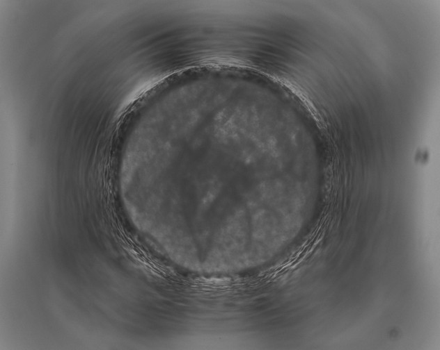 X0000094820919200712141641