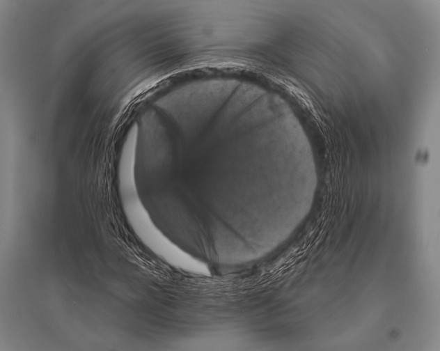 X0000094820920200712141641