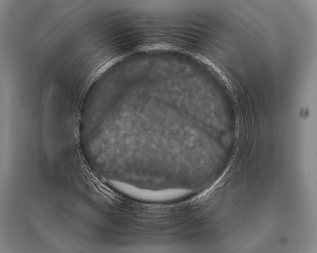 X0000094820921200712141641