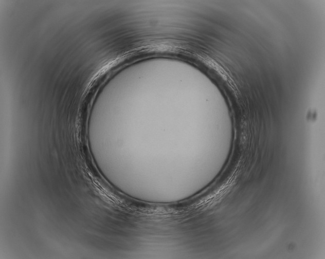 X0000094820922200712141641