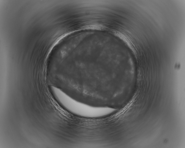 X0000094820923200712141641