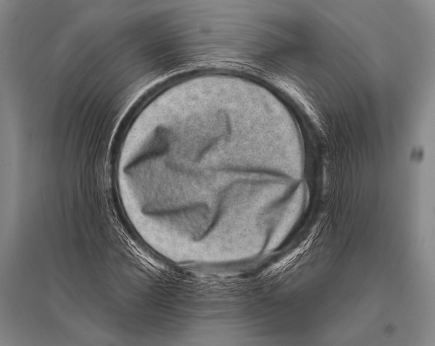 X0000094820924200712141641