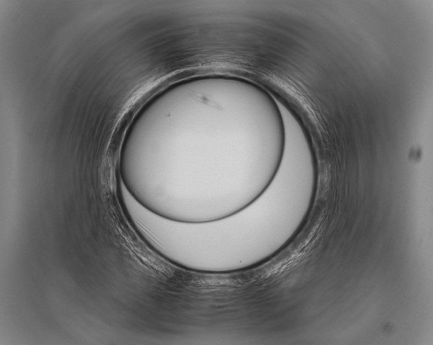 X0000094820925200712141641