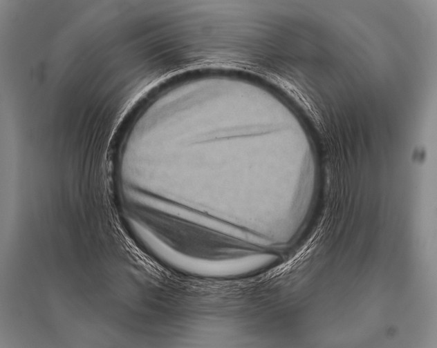 X0000094820926200712141641