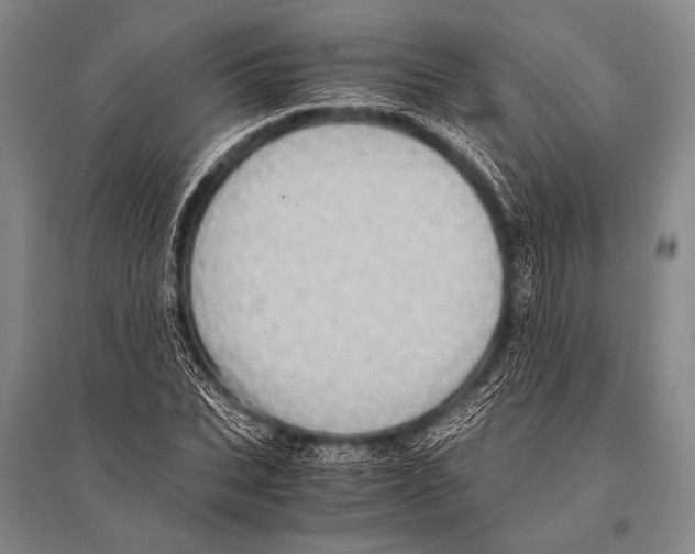 X0000094820927200712141641