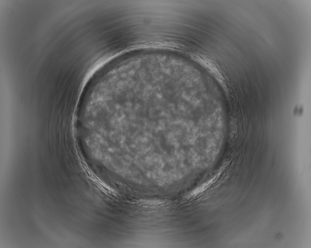 X0000094820928200712141641