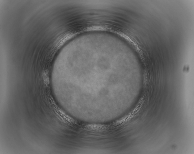 X0000094820929200712141641