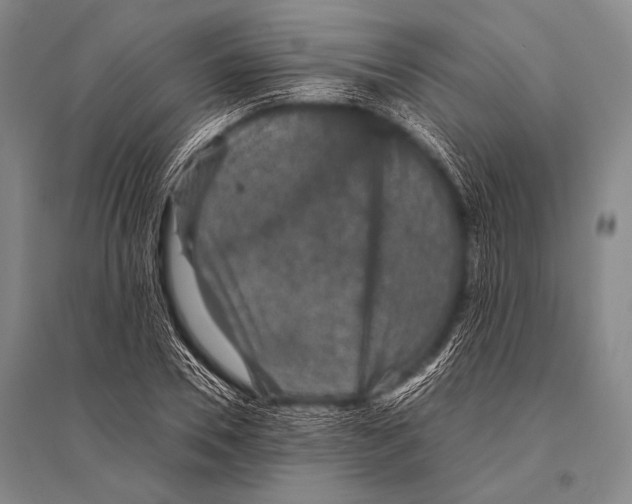 X0000094820930200712141641