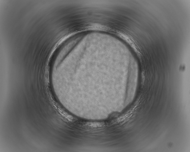 X0000094820931200712141641