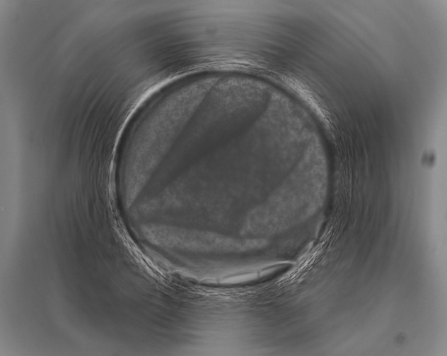 X0000094820932200712141641