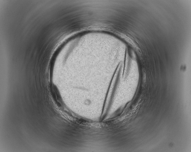 X0000094820934200712141641