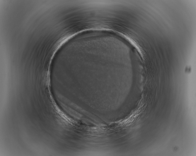 X0000094820935200712141641