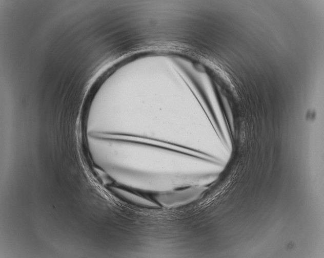 X0000094820936200712141641