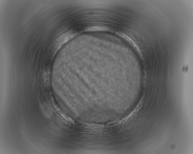 X0000094820937200712141641