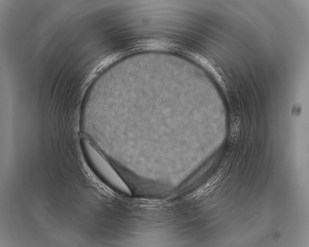 X0000094820938200712141641