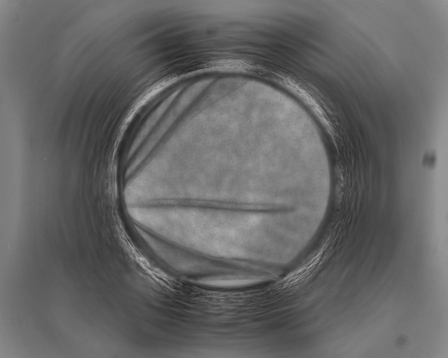 X0000094820939200712141641