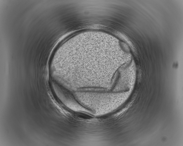 X0000094820940200712141641