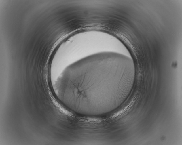 X0000094820941200712141642