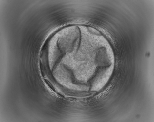 X0000094820942200712141642