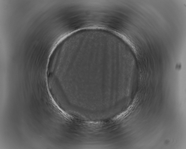 X0000094820943200712141642