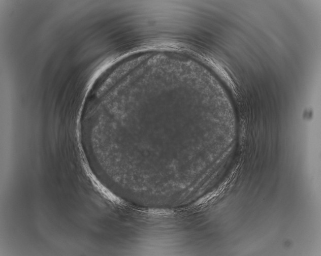 X0000094820944200712141642