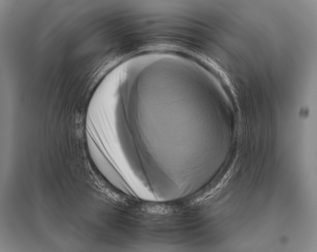 X0000094820945200712141642