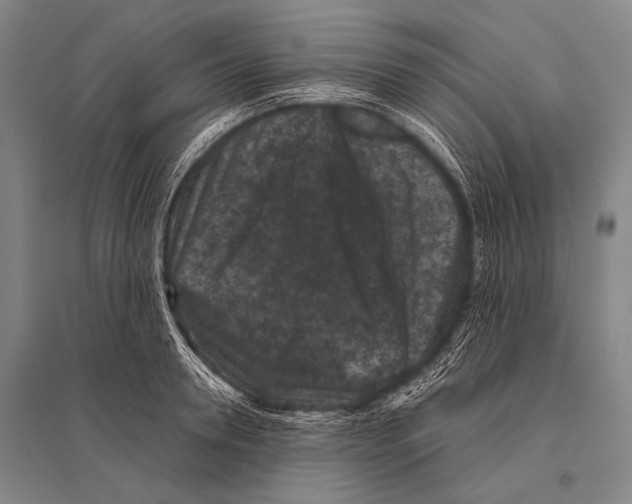 X0000094820946200712141642