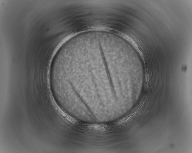 X0000094820947200712141642