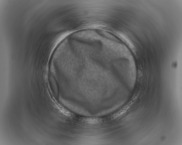 X0000094820948200712141642