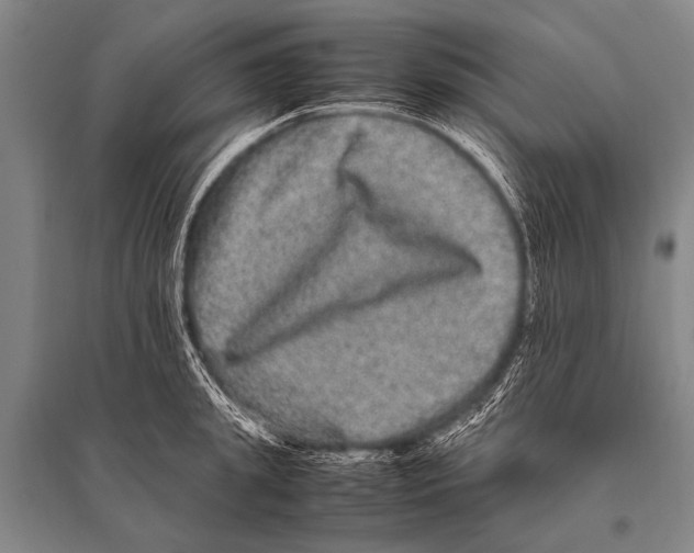 X0000094820949200712141642