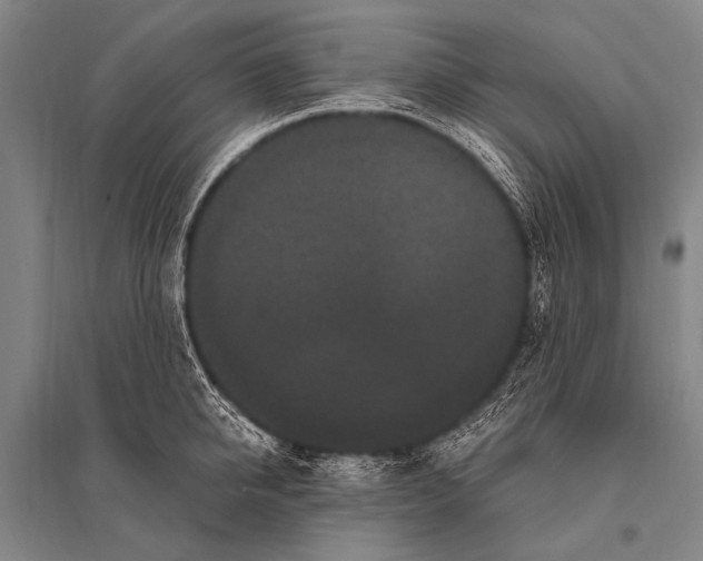 X0000094820950200712141642