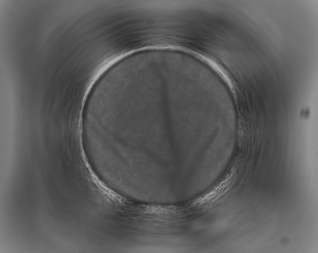 X0000094820951200712141642