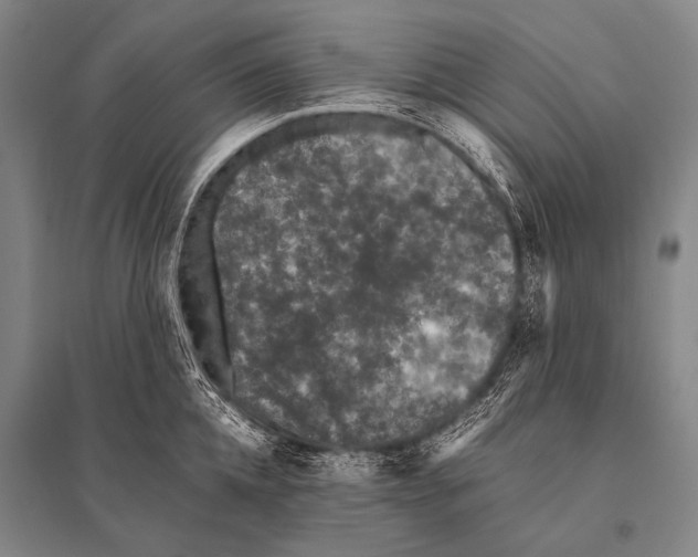 X0000094820952200712141642