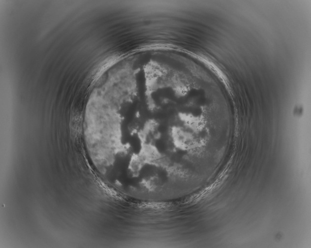 X0000094820953200712141642