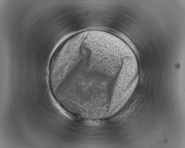 X0000094820955200712141642